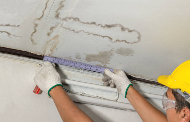 Reliable Water Damage contractor in Franklin, NH by Water Damage Irwin